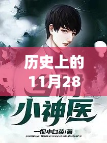 历史上的11月28日，乡间小神医热门章节探秘