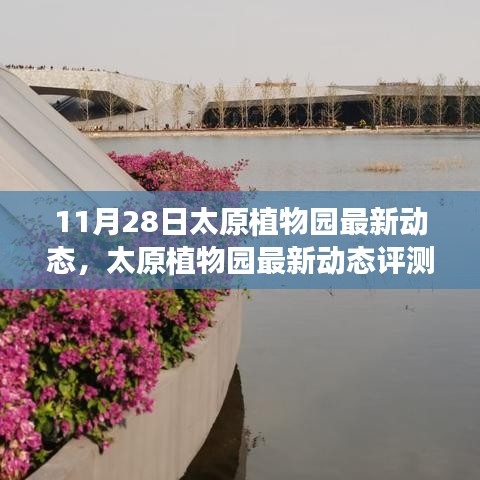 贵不可言 第4页