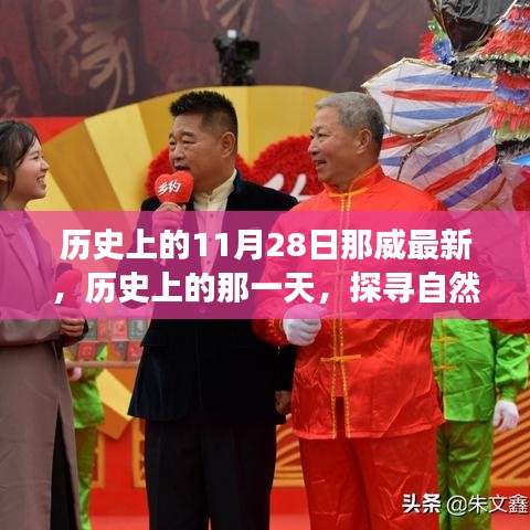 11月28日那威的神秘之旅，探寻自然美景，唤醒内心平静的历史探寻