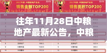 中粮地产十一月二十八日公告揭秘，温馨日常与意外惊喜的陪伴