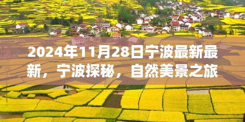 宵衣旰食 第3页