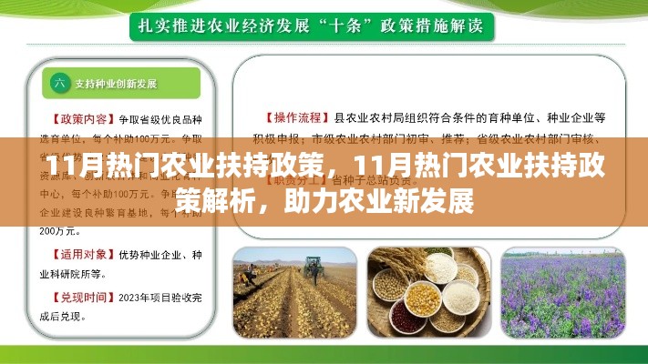 风流儒雅 第3页