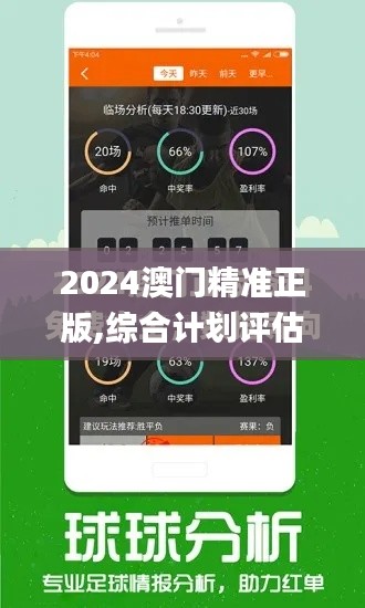 2024澳门精准正版,综合计划评估_生活版BTI40.711