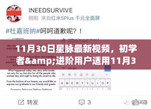 11月30日星脉视频攻略，初学者与进阶用户观看与任务完成全指南