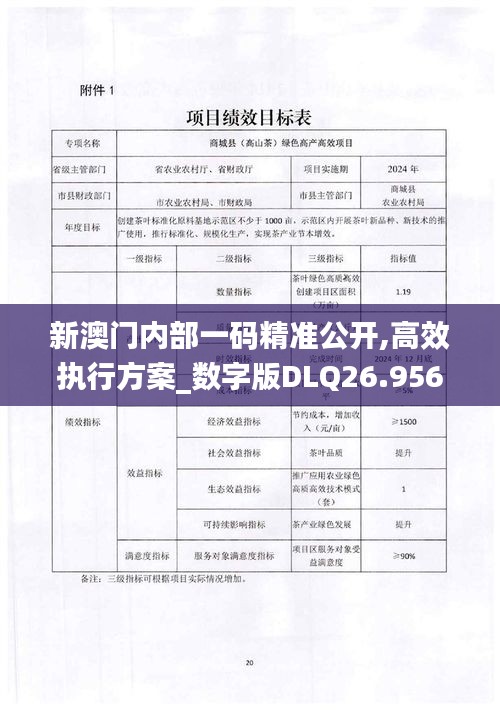 新澳门内部一码精准公开,高效执行方案_数字版DLQ26.956