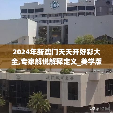 2024年新澳门天天开好彩大全,专家解说解释定义_美学版PRE1.786