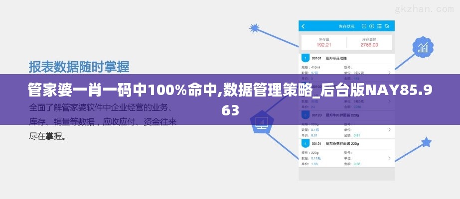 案例见证 第285页