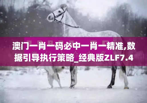 澳门一肖一码必中一肖一精准,数据引导执行策略_经典版ZLF7.444