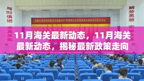 揭秘，最新海关动态及政策对行业影响分析报告（附深度解读）