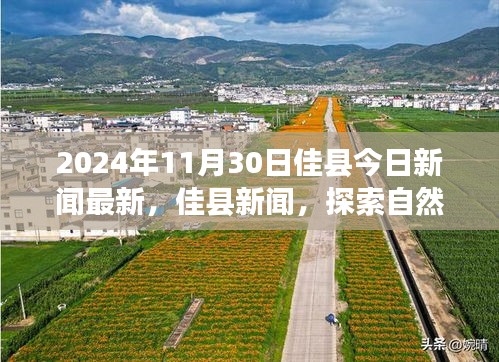 鸟为食亡 第3页
