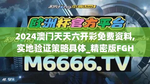 2024澳门天天六开彩免费资料,实地验证策略具体_精密版FGH56.625