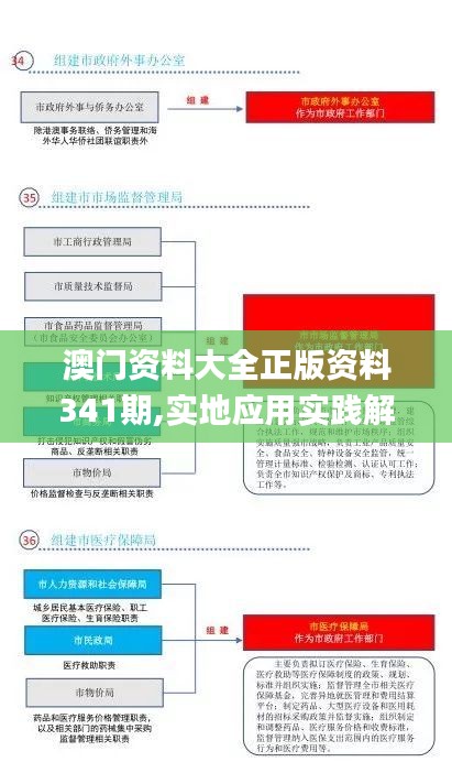 澳门资料大全正版资料341期,实地应用实践解读_瞬间版VPN89.705