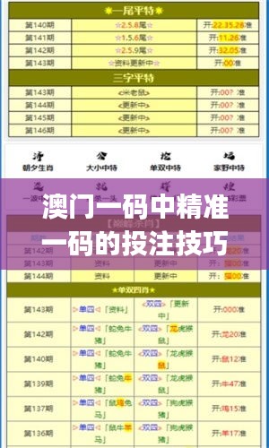澳门一码中精准一码的投注技巧,实时处理解答计划_商务版YPQ73.900