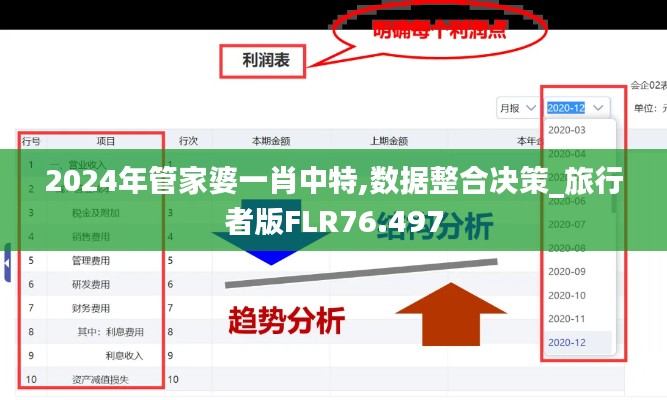 2024年管家婆一肖中特,数据整合决策_旅行者版FLR76.497