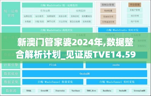 新澳门管家婆2024年,数据整合解析计划_见证版TVE14.598