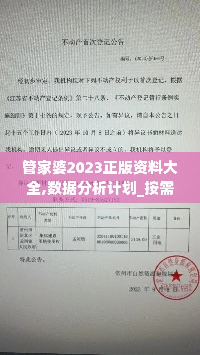 管家婆2023正版资料大全,数据分析计划_按需版QFS17.464