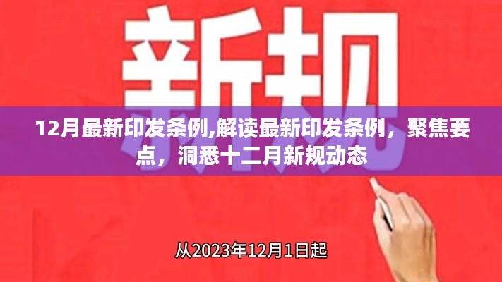 解读十二月最新印发条例，聚焦新规动态，洞悉要点变化