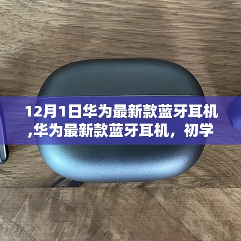 物离乡贵 第3页