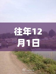 往年12月1日鲁山杀人案最新,往年12月1日鲁山杀人案最新进展，深度解析案件细节与后续影响