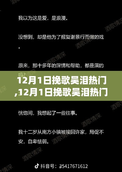 深度解读，吴泪热门挽歌背后的情感与争议，12月1日回顾分析