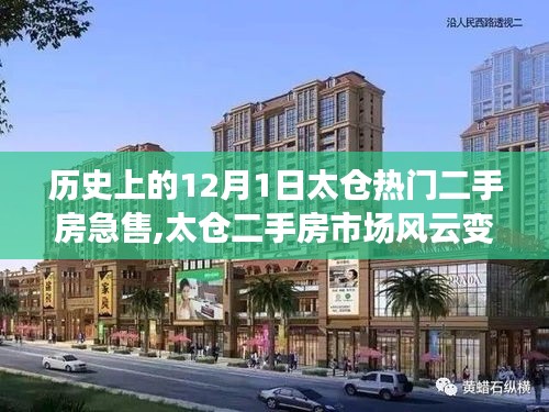 揭秘太仓二手房市场风云变幻，历史上的十二月一日急售潮深度解析