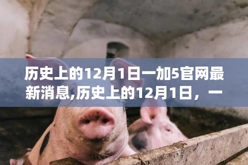 风韵犹存 第3页