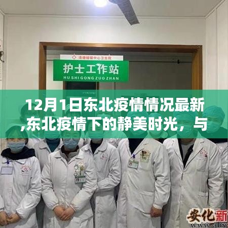 东北疫情下的静美时光，与自然共舞，内心平和之地的探寻——12月1日疫情最新情况