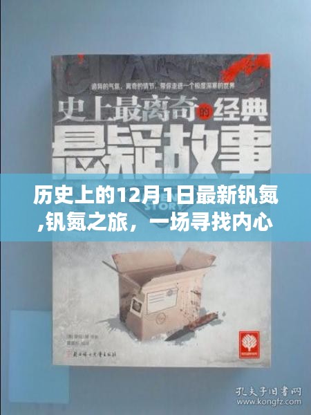 12月1日启程的钒氮之旅，寻找内心平静的奇妙旅程