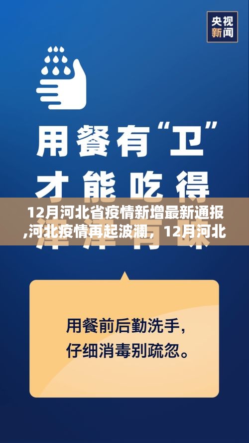 五角六张 第4页
