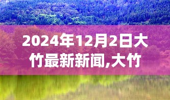 大竹新闻探秘，自然美景之旅，寻找内心的宁静与平和（2024年12月2日最新资讯）