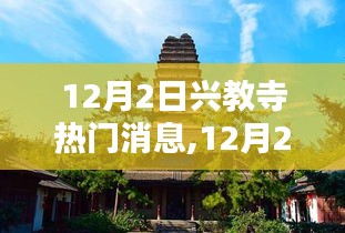 环肥燕瘦 第3页