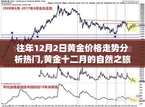 栖冲业简 第3页