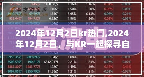 探寻自然秘境，KR带你体验桃花源般的内心之旅（2024年12月2日）