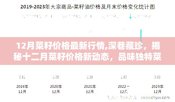 揭秘十二月菜籽最新行情，独特风情菜籽店的价格动态与深巷藏珍