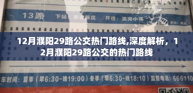 飞鸟依人 第3页