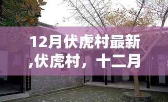 12月伏虎村最新,伏虎村，十二月下的历史回响与时代印记