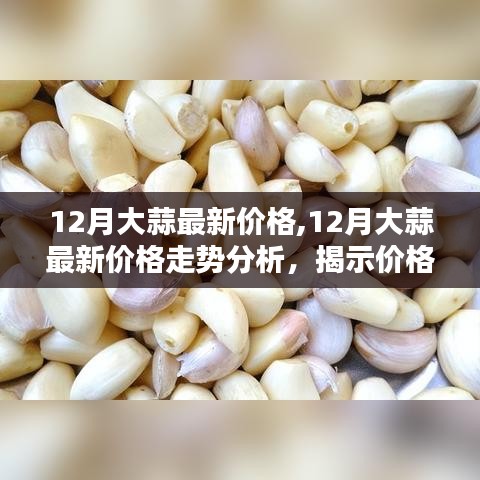 夜以继日 第3页