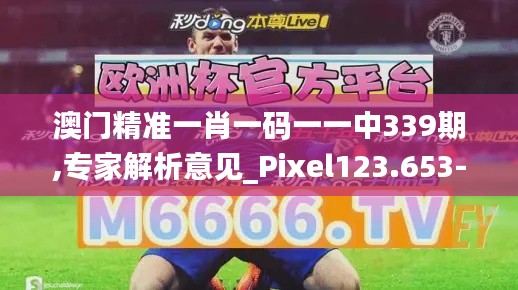 澳门精准一肖一码一一中339期,专家解析意见_Pixel123.653-7