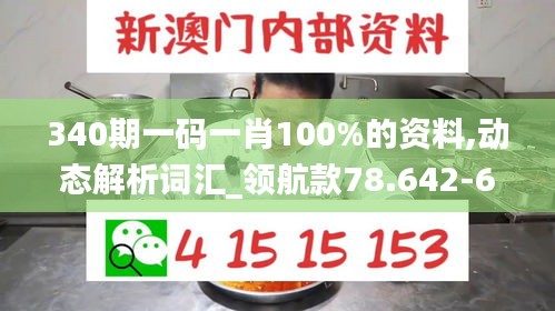 340期一码一肖100%的资料,动态解析词汇_领航款78.642-6