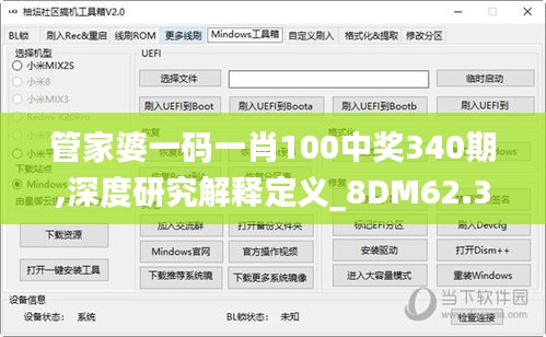 管家婆一码一肖100中奖340期,深度研究解释定义_8DM62.352-3