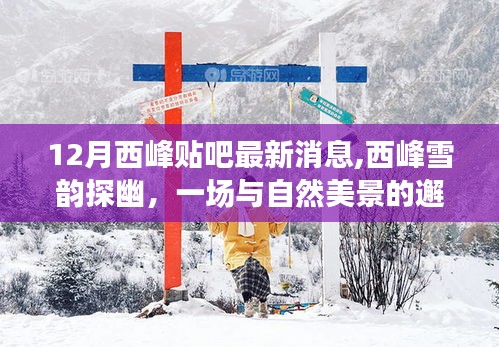 西峰雪韵探幽，揭秘十二月最新奇遇与贴吧热议话题