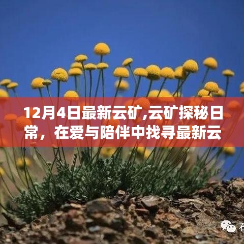 学而不厌 第3页