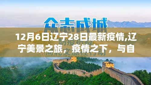 辽宁美景之旅，疫情之下，与自然共舞的最新动态（12月6日辽宁最新疫情报告）