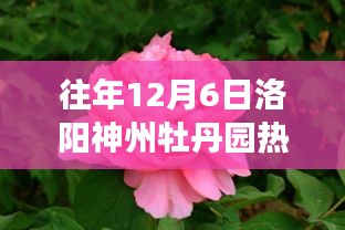 洛阳牡丹园之旅，探寻变化的力量与自信成长的旋律