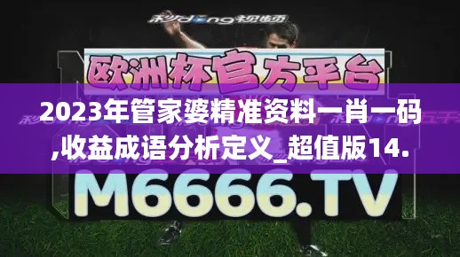 2023年管家婆精准资料一肖一码,收益成语分析定义_超值版14.455