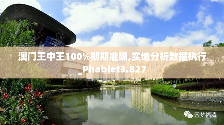 澳门王中王100%期期准确,实地分析数据执行_Phablet3.827
