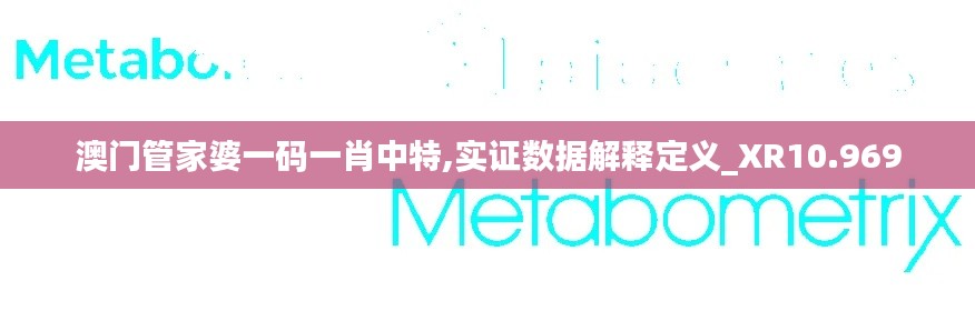澳门管家婆一码一肖中特,实证数据解释定义_XR10.969