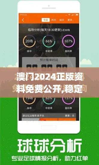 澳门2024正版资料免费公开,稳定策略分析_潮流版8.638