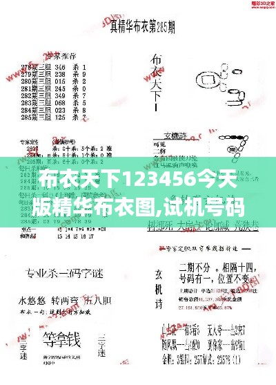 布衣天下123456今天版精华布衣图,试机号码,深层数据设计解析_nShop9.654