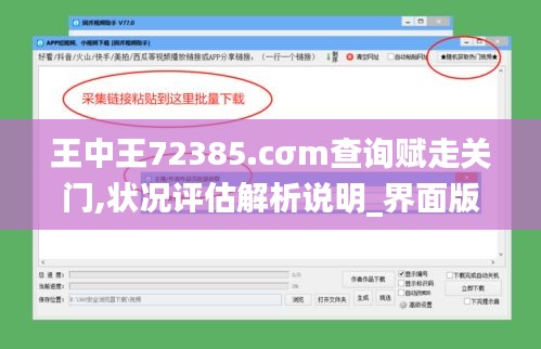 王中王72385.cσm查询赋走关门,状况评估解析说明_界面版2.207